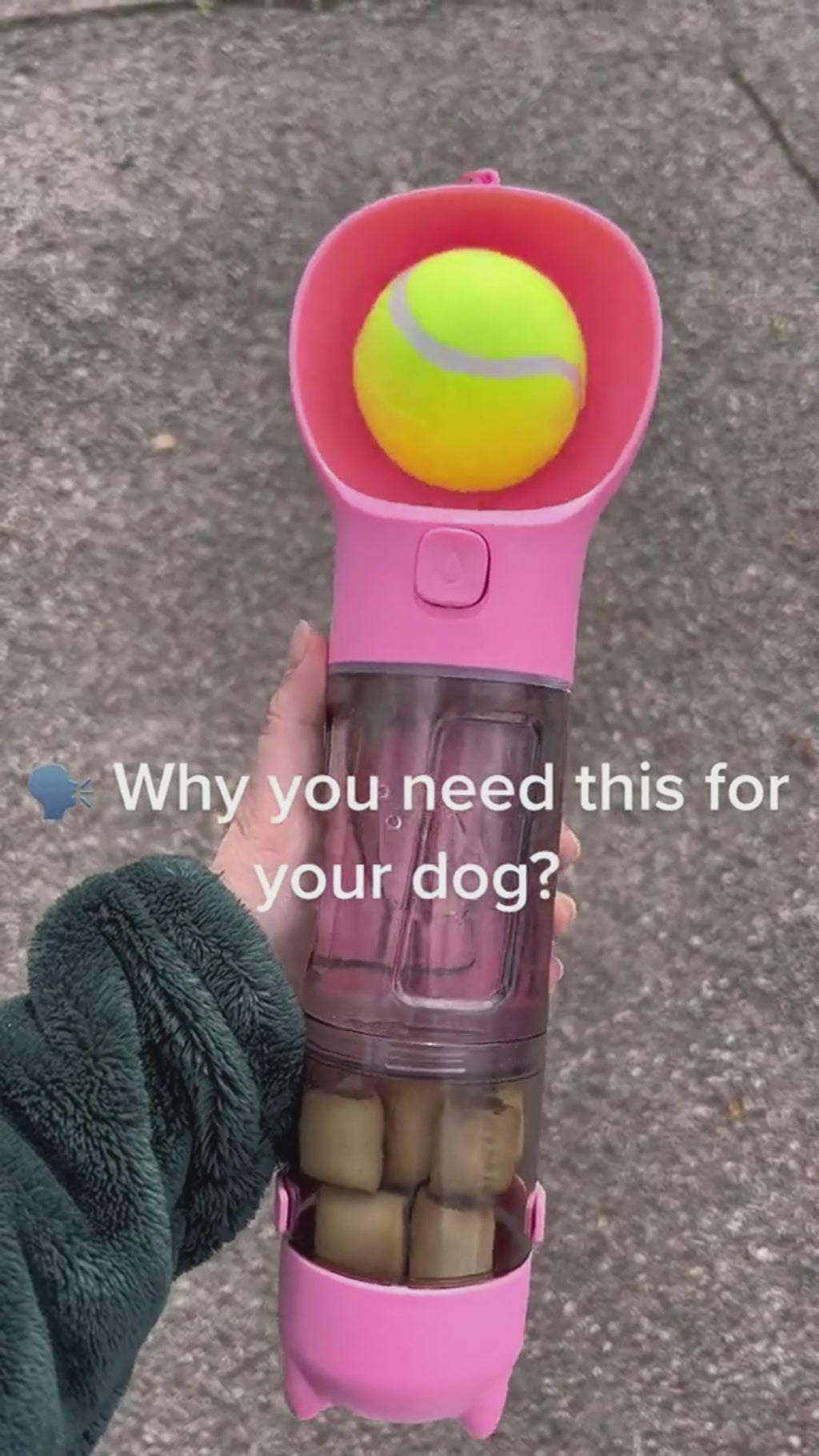 3-in-1 Portable Dog Water Bottle & Feeder