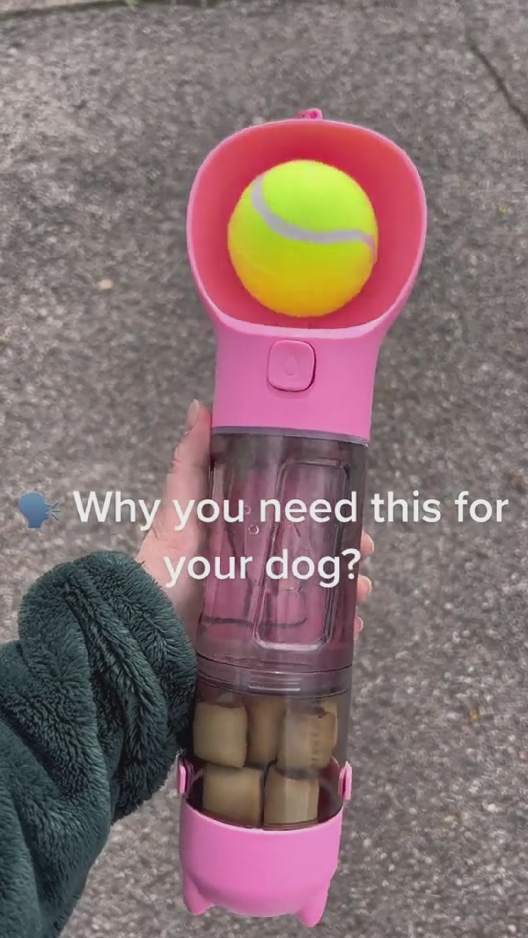3-in-1 Portable Dog Water Bottle & Feeder